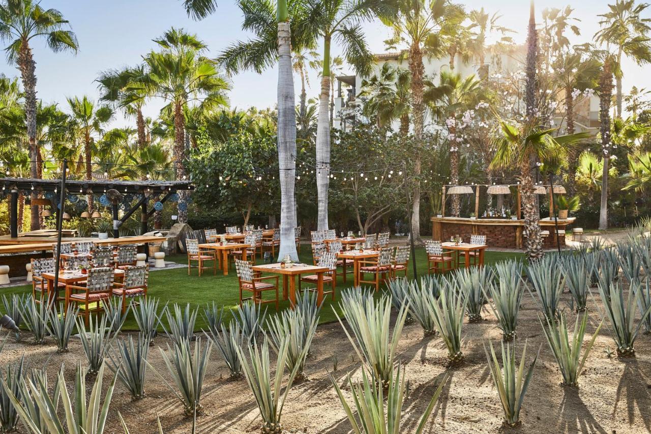 Esperanza, Auberge Resorts Collection كابو سان لوكاس المظهر الخارجي الصورة